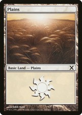 Plains (365) 10th Edition MINT Basic Land MAGIC THE GATHERING MTG CARD ABUGames