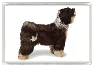 IMÁN NEVERA ACRÍLICO TIBETANO TERRIER PERRO IMPRESIÓN ARTÍSTICA NOVEDAD GRAN REGALO - Imagen 1 de 1