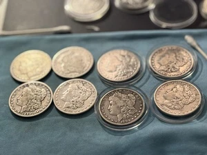 8 Morgan Silver Dollars key Dates, rare, Great Coins.r - Picture 1 of 24