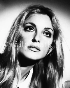 Sharon Tate Vintage ⭐Hollywood⭐anni '60 - FOTO PUBBLICITARIA 8X10 - Celebrità - Foto 1 di 1