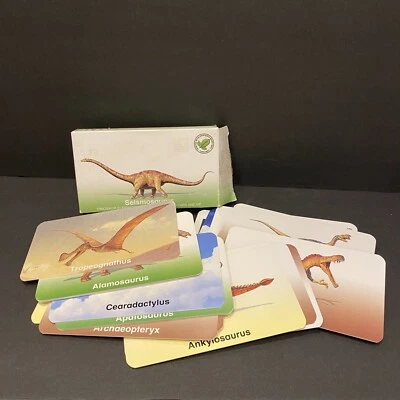 26 Flash Brillance Dinosaur Flash Cards Thick Durable Educational Paleontology  - Image 1 of 4
