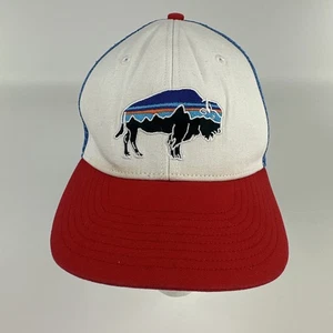 Patagonia Fitz Roy Bison Lopro Trucker Hat Buffalo Logo Snapback Mesh Cap - Picture 1 of 9