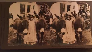 IRLANDE. Photographie D'une Petite Fille Irlandaise Avec Ses Amis Ânes. 1903. - Picture 1 of 3