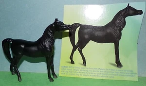 BREYER STABLEMATE BLACK ARABIAN DELUXE COLLECTION SOLD OUT w/Info Card NEW 2025 - Picture 1 of 11
