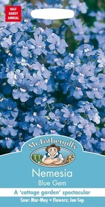 Mr Fothergill's Nemesia Seeds blue gem 500 seeds A Cottage Garden Spectacular - Picture 1 of 2