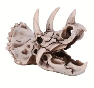 Exquisite Dinosaur Resin Triceratops Skull Model Home Office Display Small Decor - Picture 1 of 10