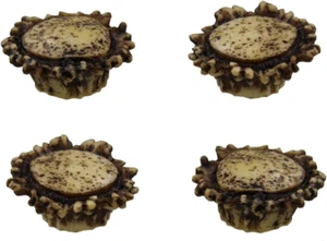 Old River Antler Drawer / Cabinet Knobs (4 Pack) - 2 Sizes of Screws and Washers - Picture 1 of 12