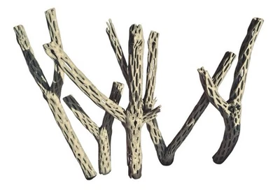 Piezas en forma de “Y” Cholla Plus de 5 libras Foto 1 de 2