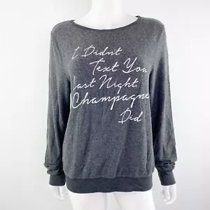 NEW Wildfox Gray DRUNK TEXT Baggy Beach Jumper Cozy Sweatshirt Size S - Picture 1 of 9