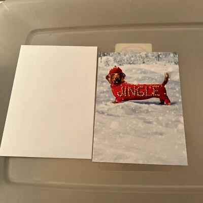Jingle Dog Funny Humorous Dachshund Christmas Card by Avanti Press - Image 1 of 3