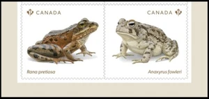 FROG, TOAD * ENDANGERED FROGS * lower pair from booklet -/- Canada 2024 MNH - Imagen 1 de 3
