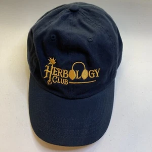 Accio Box! NEW Ravenclaw Herbology Club Hat NEVER WORN - Picture 1 of 9