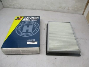 Hastings AF1063 Premium Air Filter (WIX 42015) - Picture 1 of 2