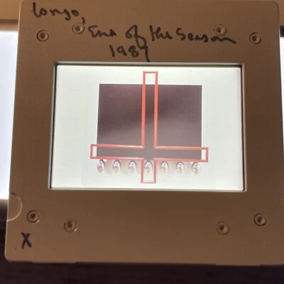 Robert Longo “Fin de la Temporada” Arte Contemporáneo Americano 35mm Diapositiva Foto 1 de 3