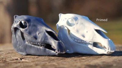 3D Printed Scale Stock-type Model Horse Skull - Image 1 of 3