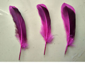 wholesale10PCS 10-15cm/4-6nches Beatiful Duck Feathers