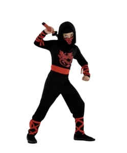 Blood Dragon Ninja Warrior Suit Yourself Dress-Up Cosplay Child XL Costume EUC - Picture 1 of 3
