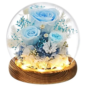 Roses Gifts for Her Wome Mom Grandma Wife Preserved Rose Flowers in Glass Dom... - Picture 1 of 9