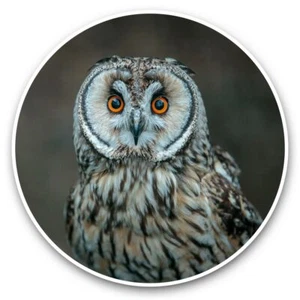 2 x Vinyl Stickers 25cm - Wise Owl Bird Nature Wildlife Wild  #46463 - Afbeelding 1 van 8