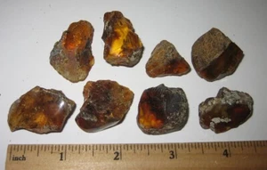 8 SMALL RARE 0.5"- 1.2" POLISHED / ROUGH AMBER FOSSIL TREE SAP ~ 32.4grams *A - Picture 1 of 10