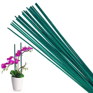 Bastoncini Fiori Verdi Resistenti Bambù Giardino Canna Coltivazione Piante Supporto Paletti 60cm - Foto 1 di 7