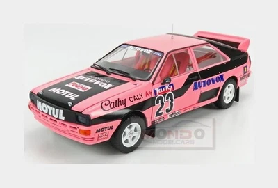 1:18 SUNSTAR Audi Quattro A1 #23 French Rallycross 1987 C.Caly Pink Black SS4251 - Immagine 1 di 2