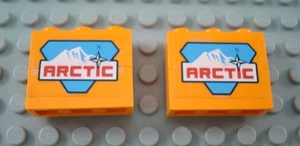 LEGO Lot of 2 Orange Arctic Decorated Bricks - Picture 1 of 1