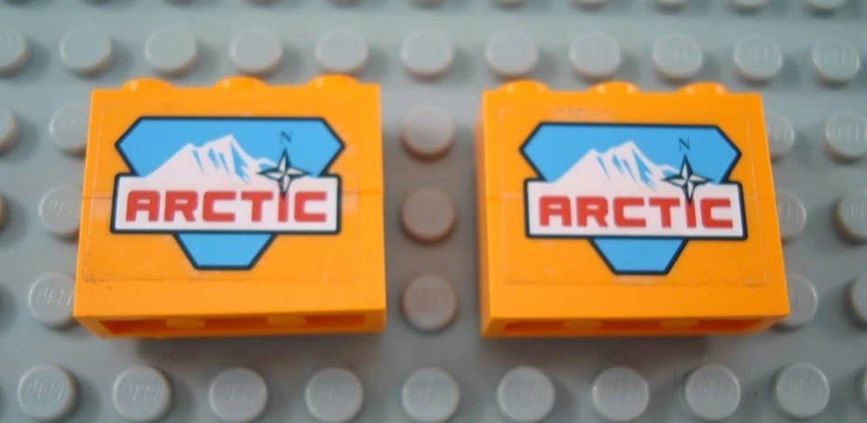 LEGO Lot of 2 Orange Arctic Decorated Bricks - Image 1 of 1