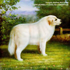 Douglas Andrew Mccombs - Vmak Natural Vinyl Edition (2023 - US - Original)
