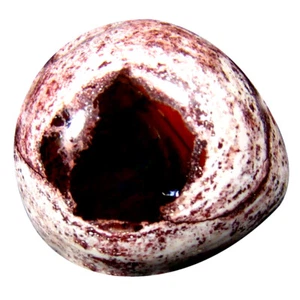 Bonito cabujón pera 14,78 quilates (19 x 17 mm) ópalo de fuego matriz de México sin calefacción - Imagen 1 de 1