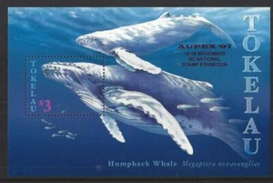HOJA EN MINIATURA DE BALLENAS DE NUEVA ZELAND TOKELAU 1997 ""AUPEX"" SIN MONTAR COMO NUEVA - Imagen 1 de 1