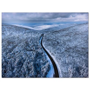 Large Modern Nature Canvas Art for Living Room, Bedroom, Dining Room 16 x 24 - Picture 1 of 7