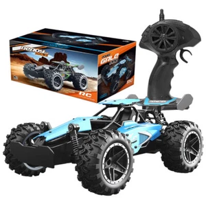 1:18 Remote Control Car 2.4Ghz High Speed RC Car Toy RC Truck Boys Gifts Black - Picture 1 of 14