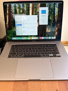 Apple MacBook Pro A2141 2019 16"" Core i9 2,3 GHz 32 GB 1 TB gris espacial ¡60 ciclos! - Imagen 1 de 3