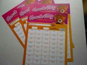 NAME THE TEDDY SCRATCH CARD- 45 SPACES/ A4 SIZE X 1 FULL COLOUR/GREAT FUNDRAISER - Picture 1 of 3