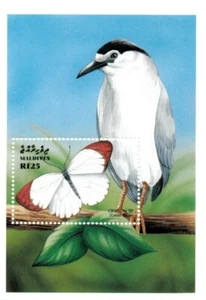 Maldives 1999 - Crimson Tip Butterfly, Bird - Souvenir Sheet - Scott 2371 - MNH - Picture 1 of 1