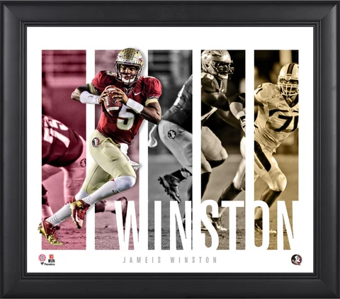 Jameis Winston Florida State Seminoles Framed 15x17 Player Panel Collage Cover