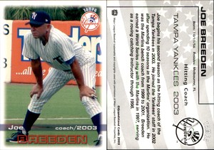 Joe Breeden 2003 Grandstand Tampa Yankees #NNO Card *AutographDen*