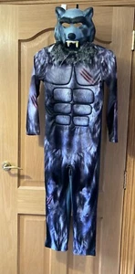 Werewolf Costume / Kids 9-10 Years / Fancy Dress / Kids Party - Picture 1 of 3