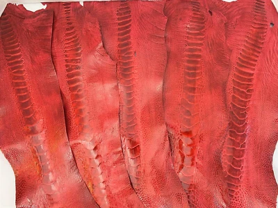 5 Patas de Avestruz Cuero Rojo Escarlata GL Colores G.B (% 100 Natural Piel Genuina)  Foto 1 de 4