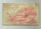 1890's E W PACKARD GROCERY STORE BROOKLINE MA TRADE CARD FROG FAT RAT MOUSE