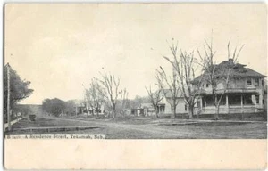 Postal antigua A Residence Street Scene TEKAMAH, NEBRASKA Burt County 1908 - Imagen 1 de 2