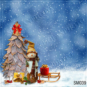 8'x8' Computer-painted  Winter/Christmas Scenic Photo background  SM039B66