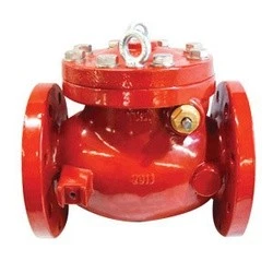 962003 Swing Check Valve, 3 in Nominal, Flanged, Ductile Iron Body, Import - Image 1 of 1