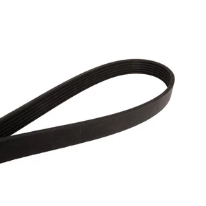 Continental 6PK1153 Serpentine Belt for VW 540 740 330 530 BMW 540i X3 Z4 RAV4 - Picture 1 of 3