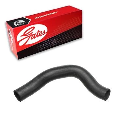 Gates Radiator Coolant Hose Lower For 1986-1995 Mercury Sable 3L V6 GAS Foto 1 de 3