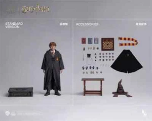 Nuevo INART A010S1 1/6 Harry Potter Ron Weasley cabello esculpido versión estándar - Imagen 1 de 1
