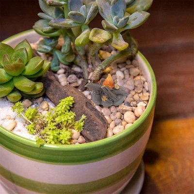  3 pezzi in miniatura falò mini falò decorazione micro-paesaggio decorazione - Image 1 of 4