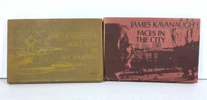 Lot 2 Die Gedichte von James Kavanaugh Bücher Willst du meine Freund Gesichter in der Stadt sein HC - Bild 1 von 21