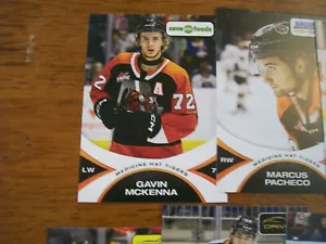 2024/25 Complete Set of Medicine Hat Tigers Card - McKenna/Basha/Wiesblatt/Moss - Picture 1 of 3